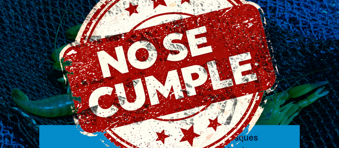 NOSE CUMPLE
